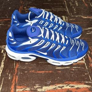 Men Nike Air Max Plus